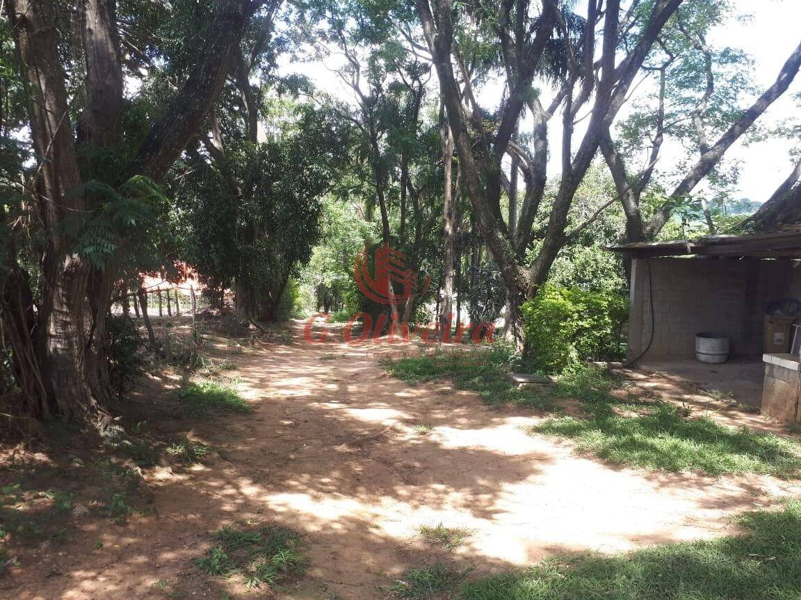 Terreno, 5 hectares - Foto 2