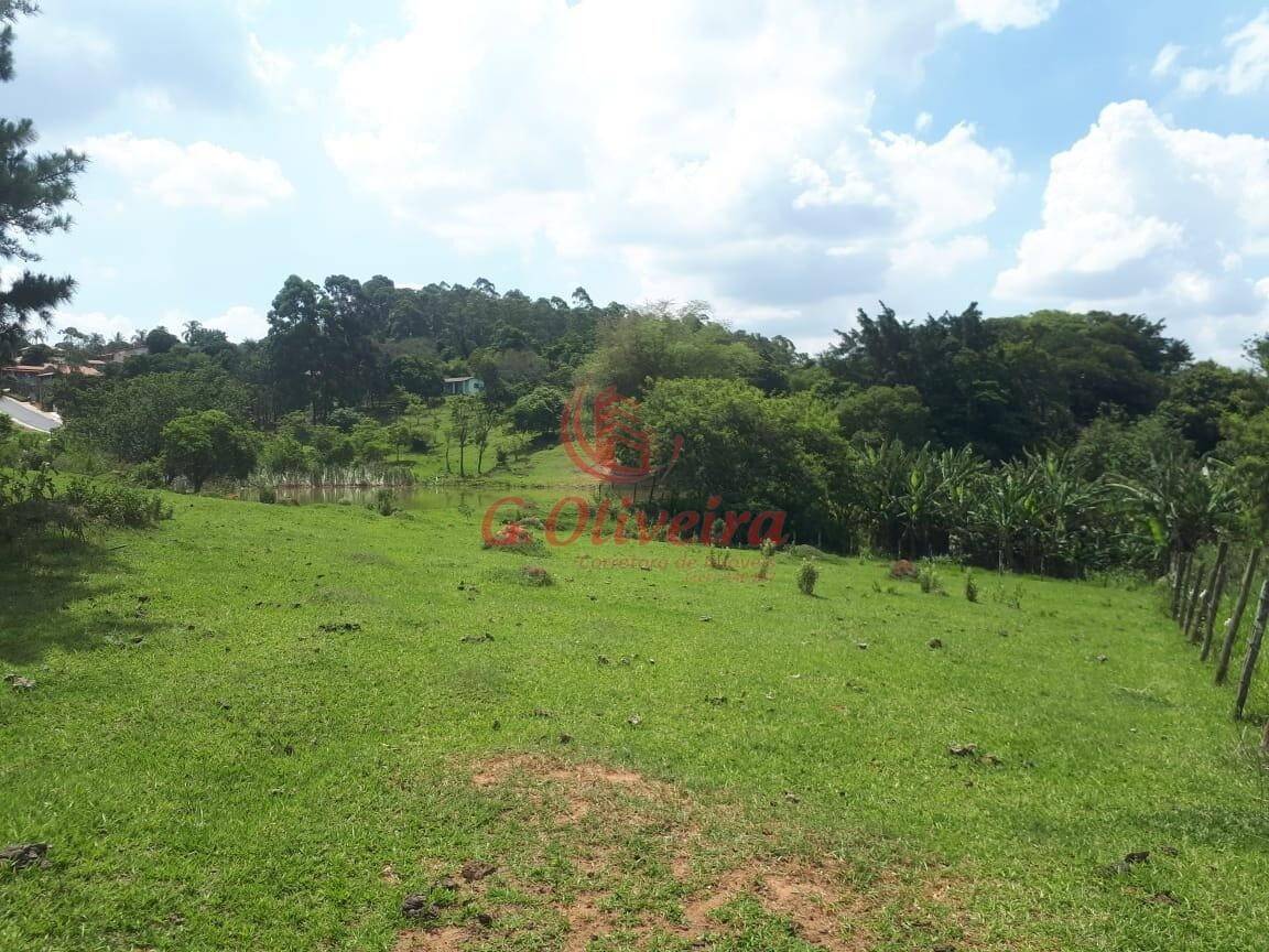 Terreno, 5 hectares - Foto 3