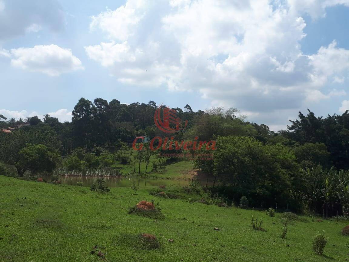 Terreno, 5 hectares - Foto 4