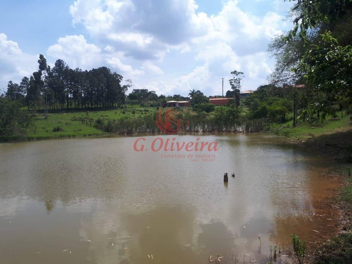 Terreno, 5 hectares - Foto 6