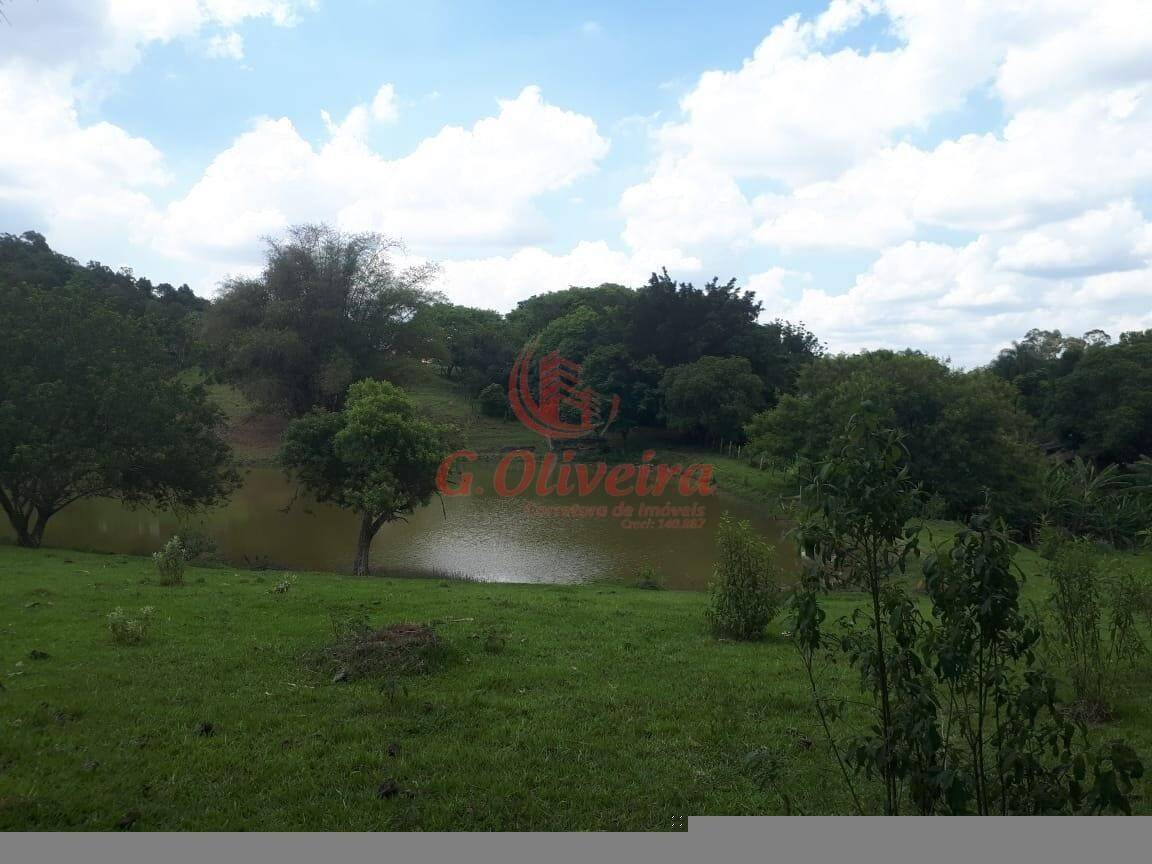 Terreno, 5 hectares - Foto 8