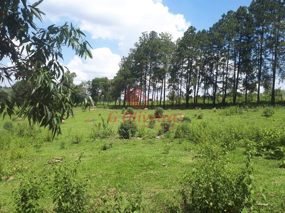 Terreno, 5 hectares - Foto 9