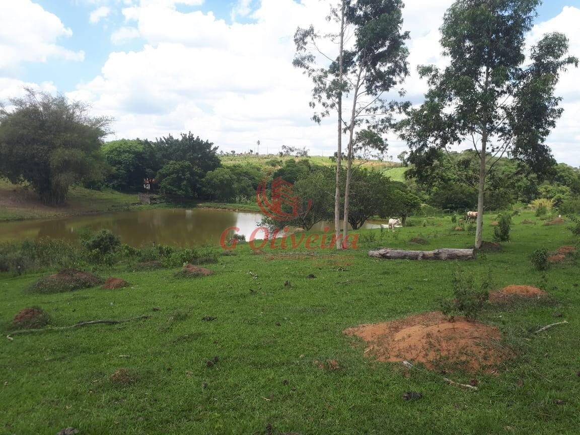 Terreno, 5 hectares - Foto 11