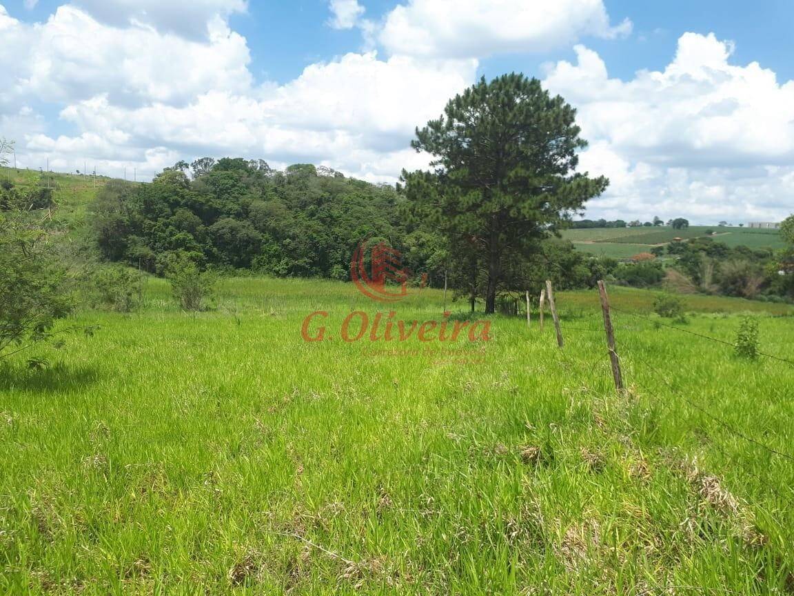 Terreno, 5 hectares - Foto 13