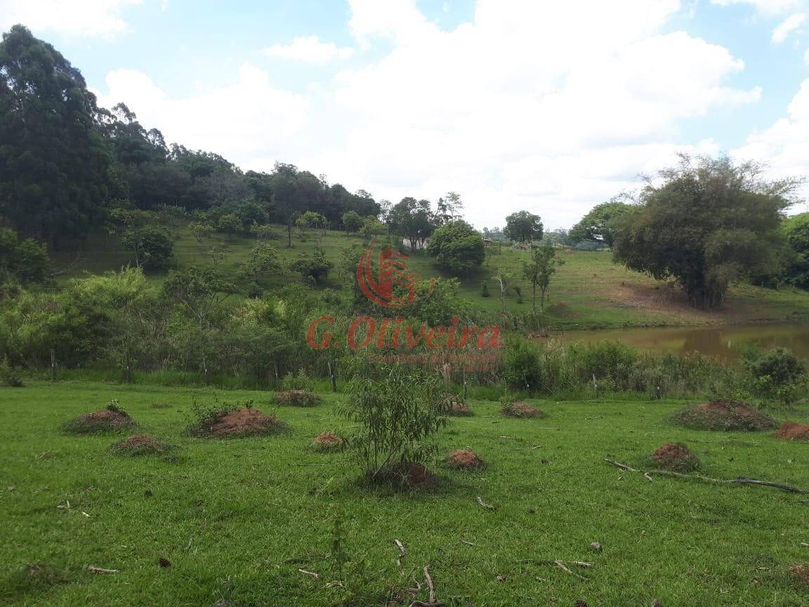 Terreno, 5 hectares - Foto 14