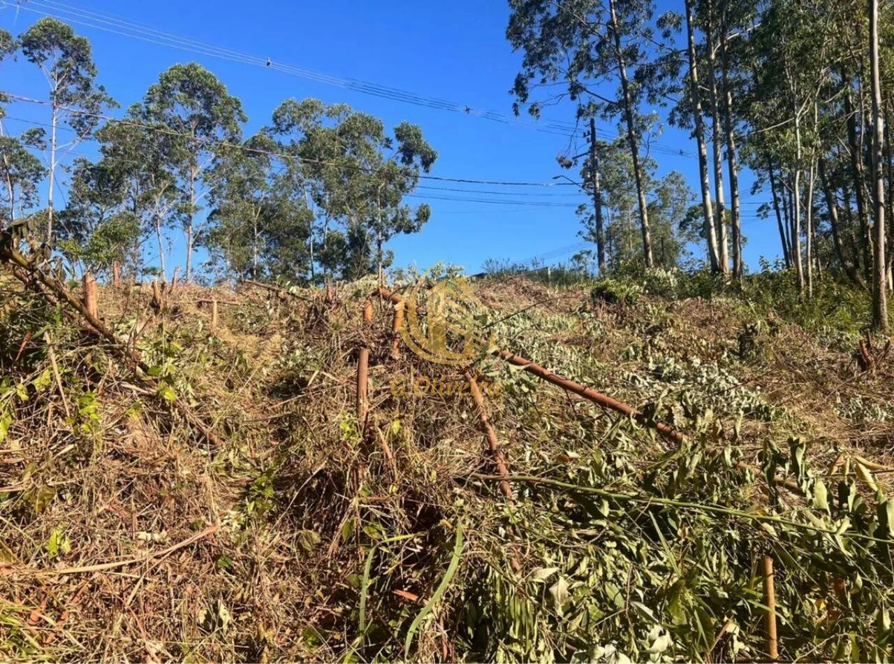 Terreno em Serra Dos Lagos (jordanésia), Cajamar - Foto 3