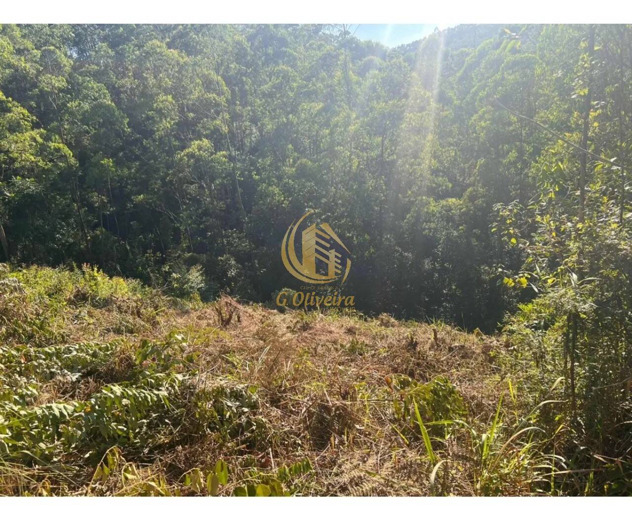 Terreno em Serra Dos Lagos (jordanésia), Cajamar - Foto 4