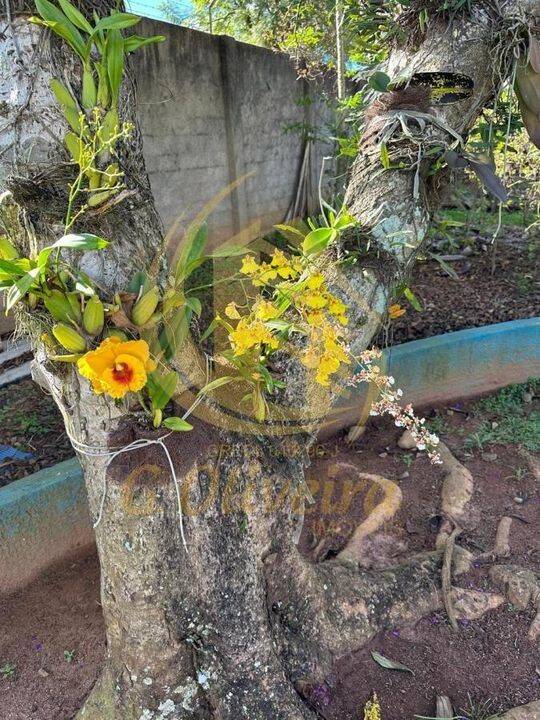 Chácara em Medeiros, Jundiaí - Foto 30
