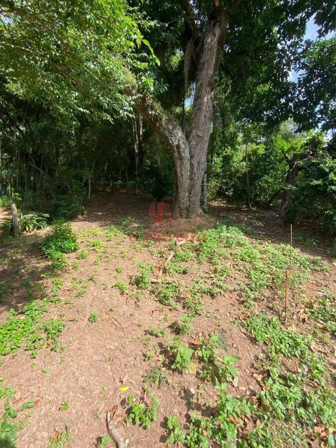 Comercial em Jardim Santa Teresa, Jundiaí - Terreno Jundiai Residencial ou comercial - no Jardim Santa Teresa com 477m² - Foto 8