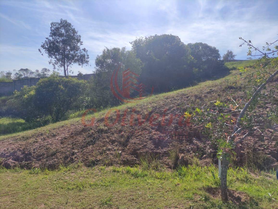 Terreno, 1170 m² - Foto 2