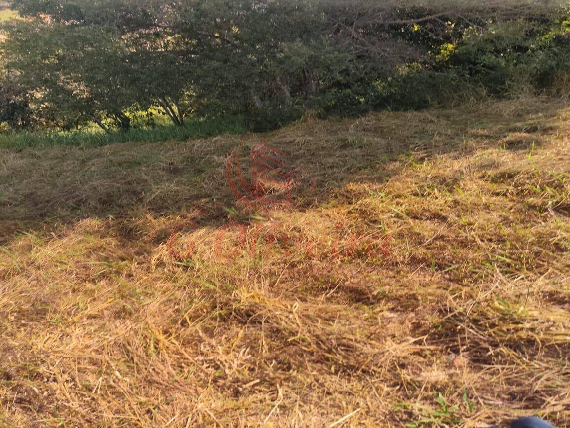 Terreno, 1170 m² - Foto 7