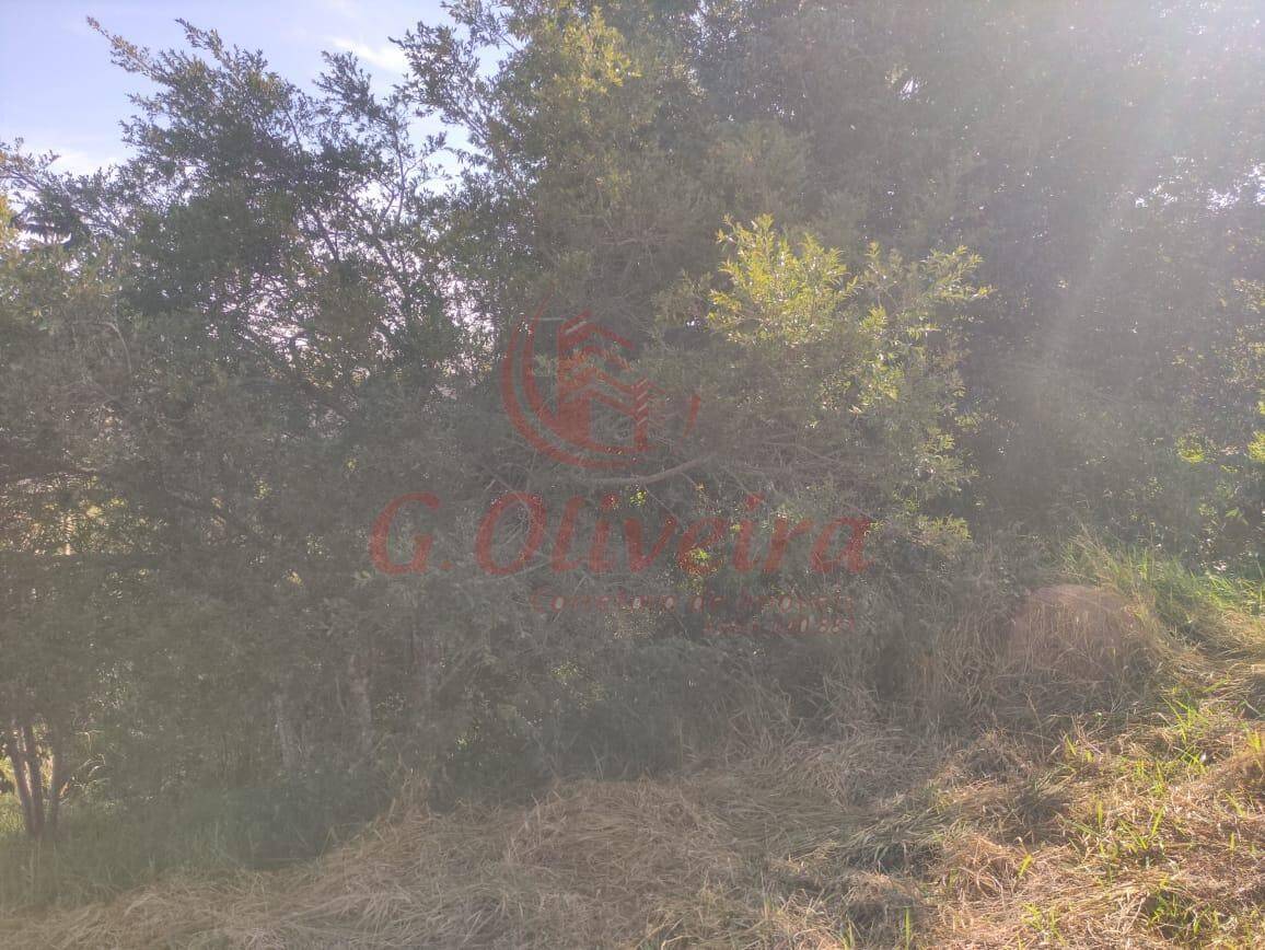 Terreno, 1170 m² - Foto 9