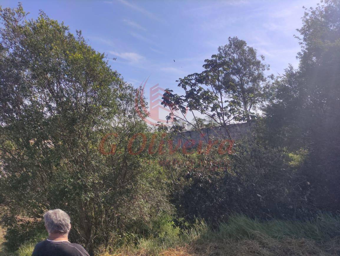 Terreno, 1170 m² - Foto 13