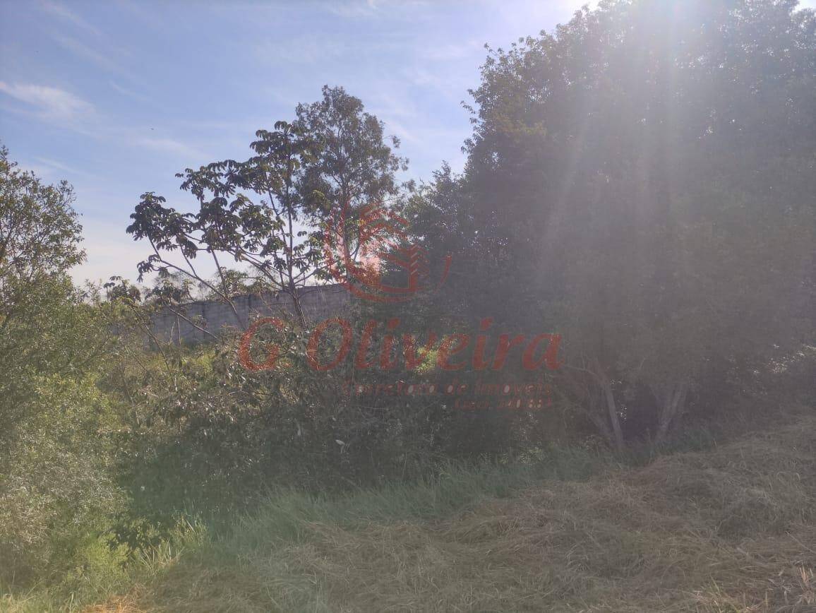 Terreno, 1170 m² - Foto 14