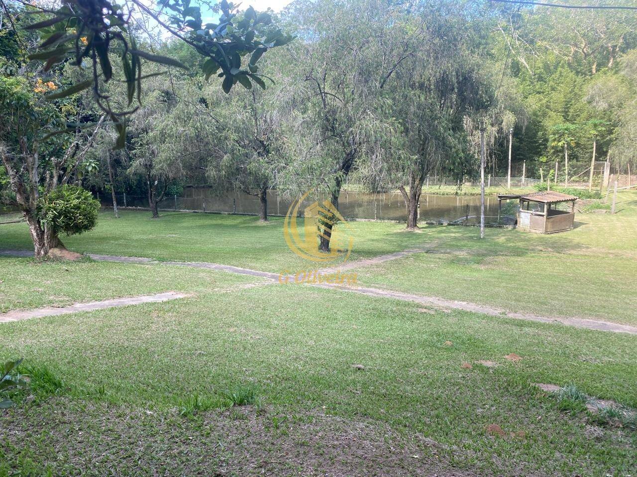 Terreno, 3 hectares - Foto 5