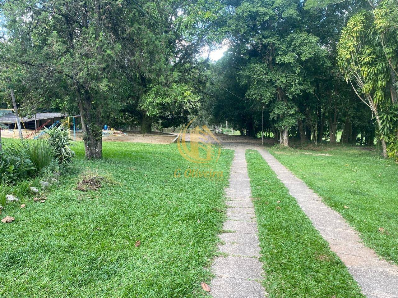 Terreno, 3 hectares - Foto 12