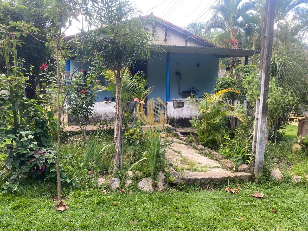 Terreno, 3 hectares - Foto 14