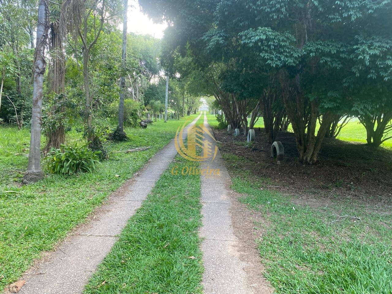 Terreno, 3 hectares - Foto 15