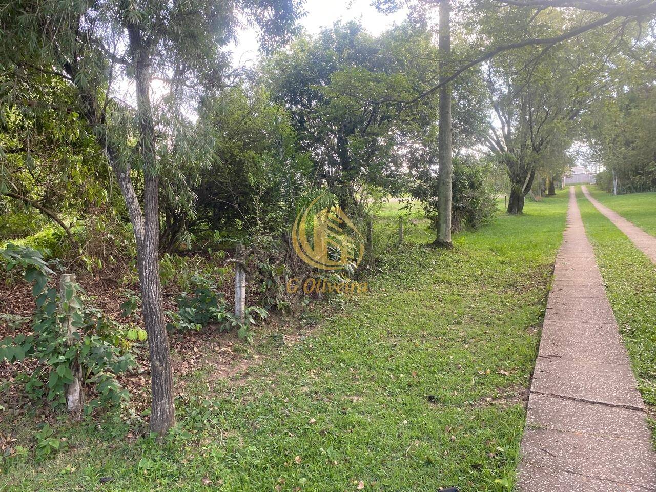 Terreno, 3 hectares - Foto 20