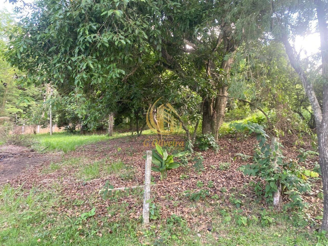 Terreno, 3 hectares - Foto 21