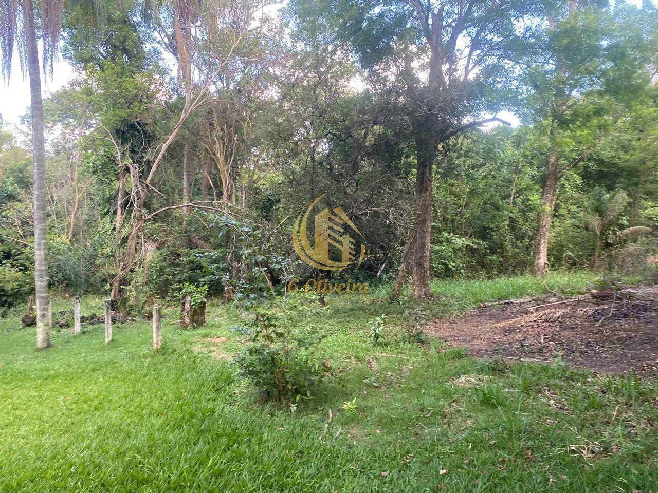 Terreno, 3 hectares - Foto 22