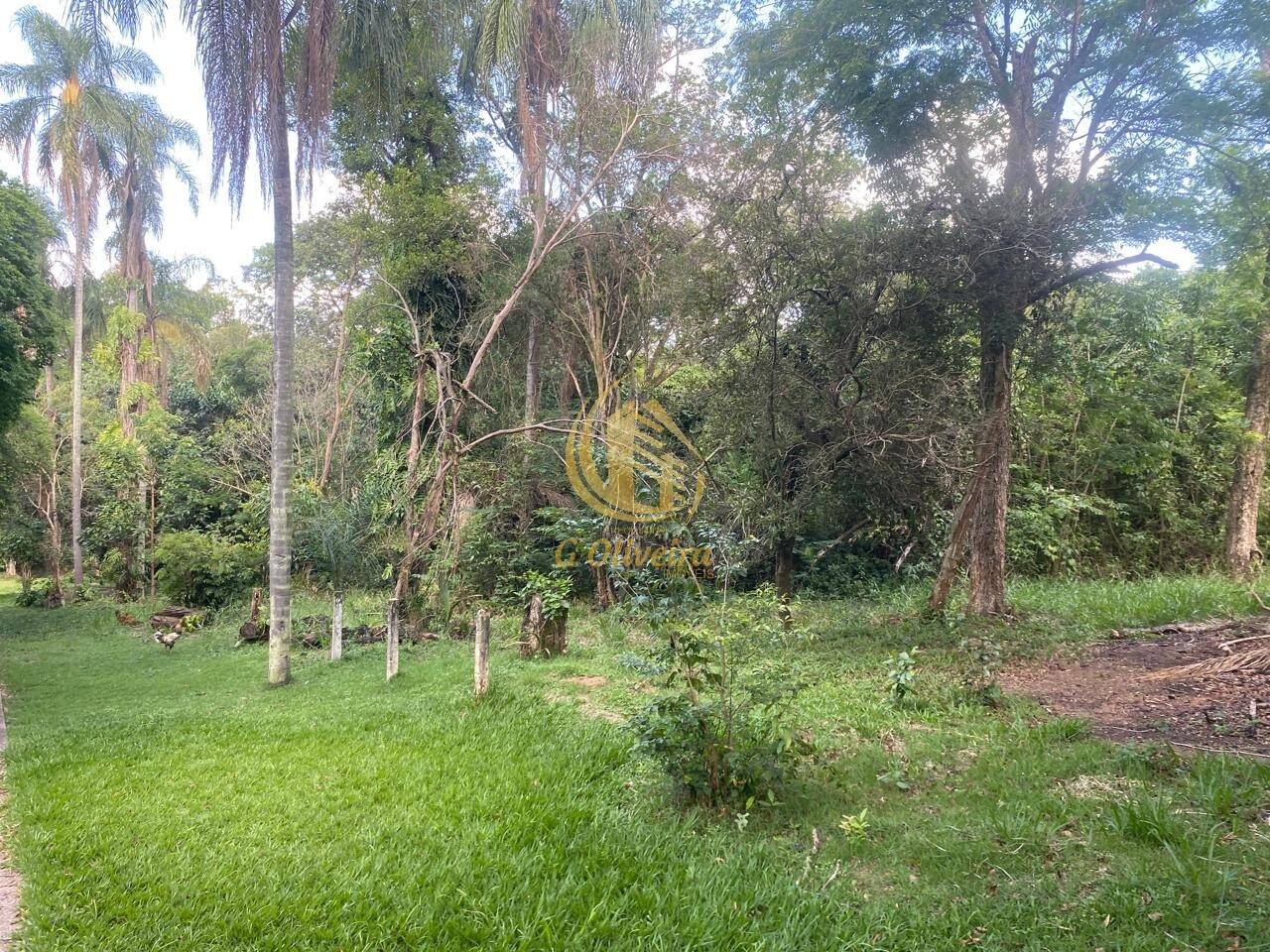 Terreno, 3 hectares - Foto 23