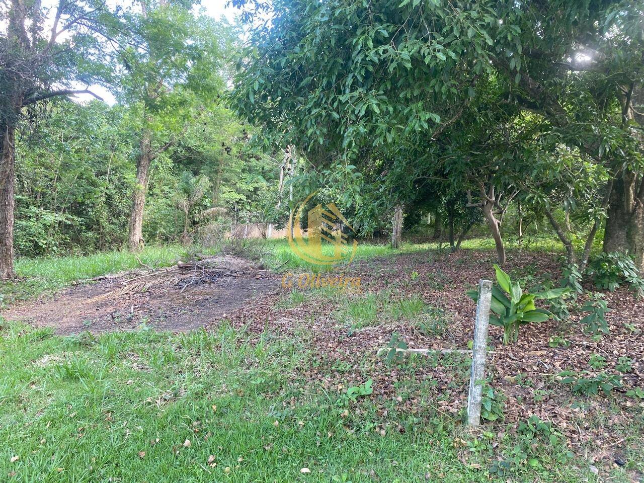 Terreno, 3 hectares - Foto 24