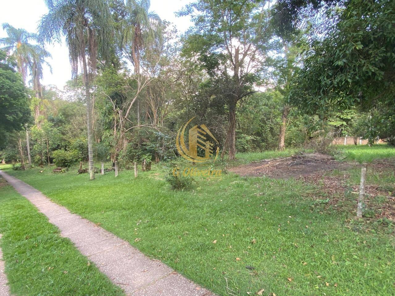 Terreno, 3 hectares - Foto 28