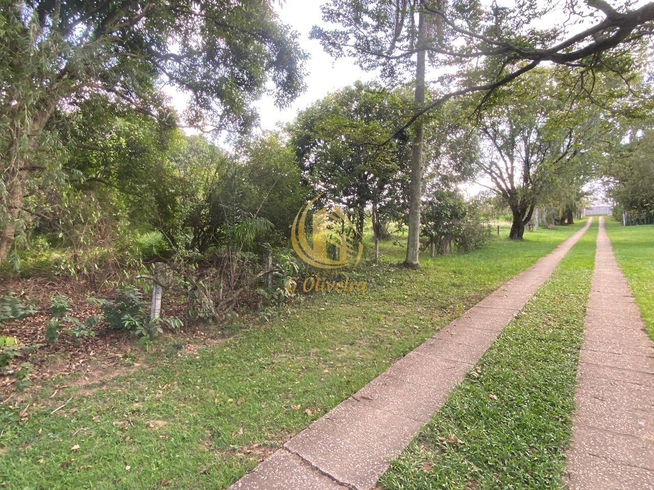 Terreno, 3 hectares - Foto 29