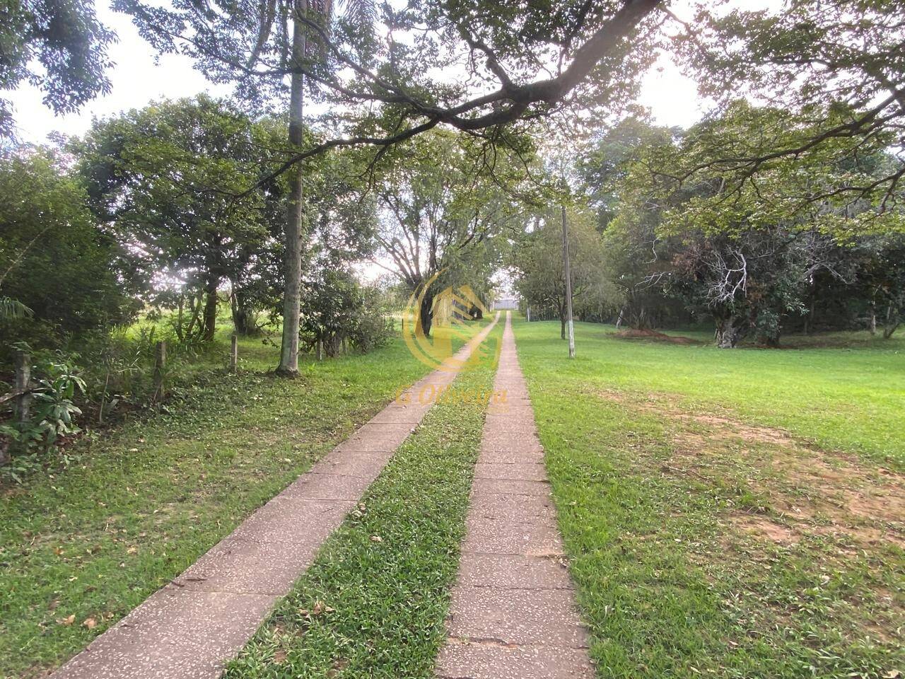 Terreno, 3 hectares - Foto 30