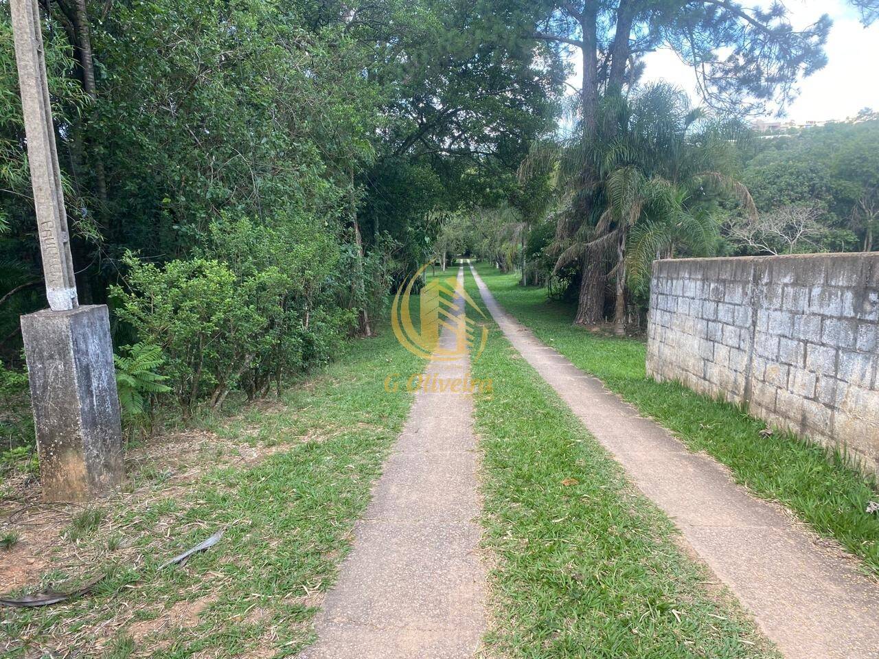 Terreno, 3 hectares - Foto 34