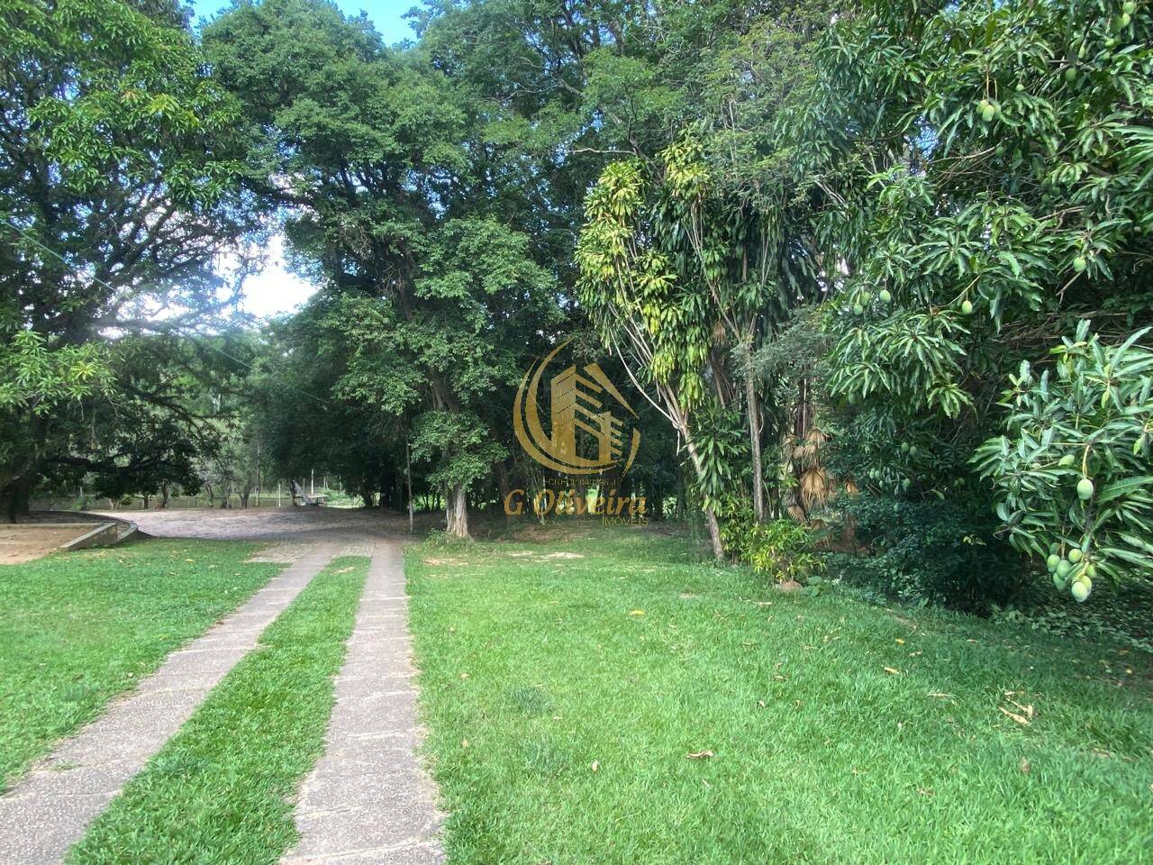 Terreno, 3 hectares - Foto 36