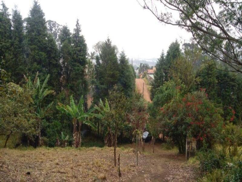 Terreno em Jundiaí Mirim, Jundiaí - Área Jundiai 22.855m2  Bairro do Jundiaí Mirim
