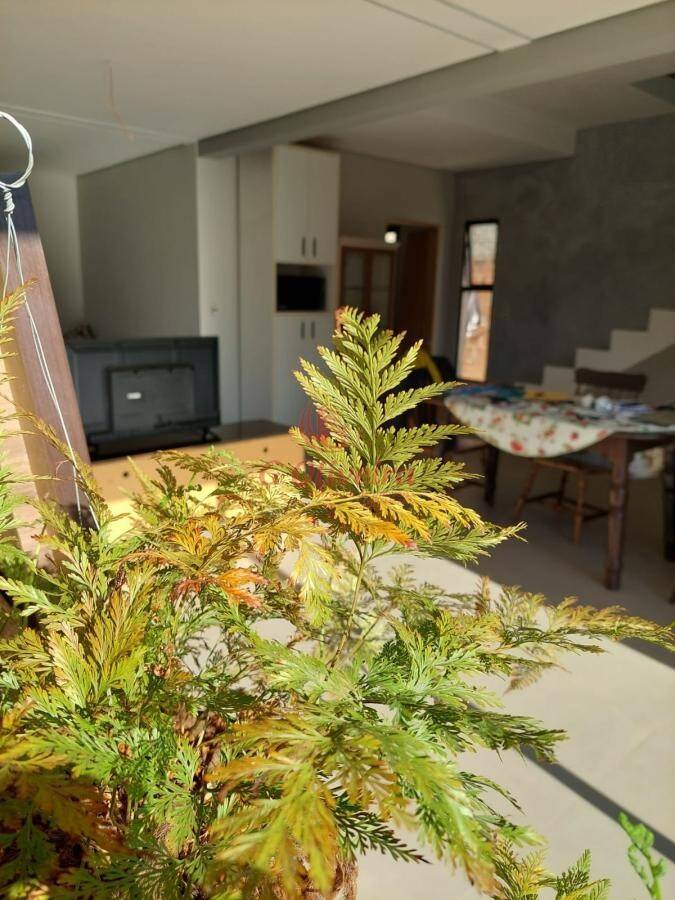 Casa em Jardim Primavera, Itupeva - Foto 13