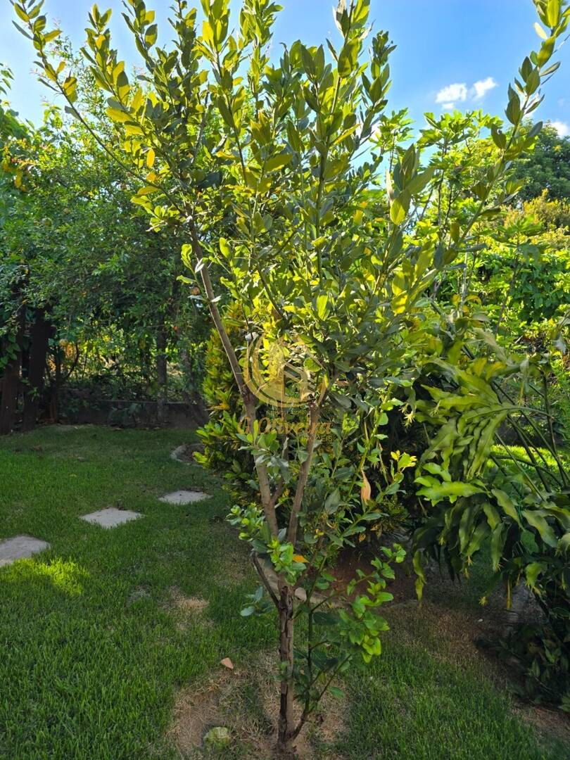 Casa em Jardim Ribeirão 2, Itupeva - Foto 34
