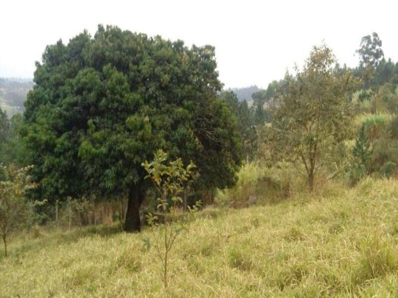 Terreno em Jundiaí Mirim, Jundiaí - Foto 8