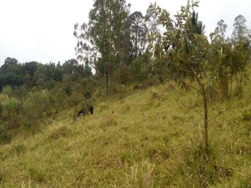 Terreno em Jundiaí Mirim, Jundiaí - Foto 9