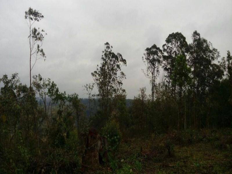 Terreno em Jundiaí Mirim, Jundiaí - Foto 10
