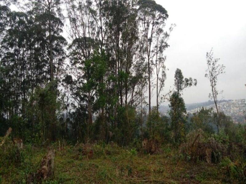 Terreno em Jundiaí Mirim, Jundiaí - Foto 12