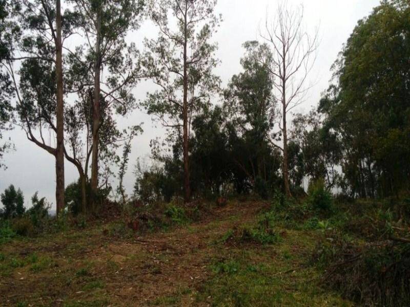 Terreno em Jundiaí Mirim, Jundiaí - Foto 13