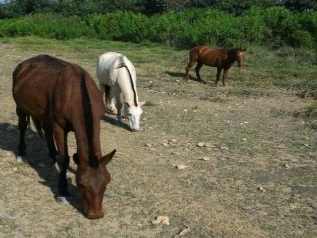 Área para Venda em Jundiaí - 4