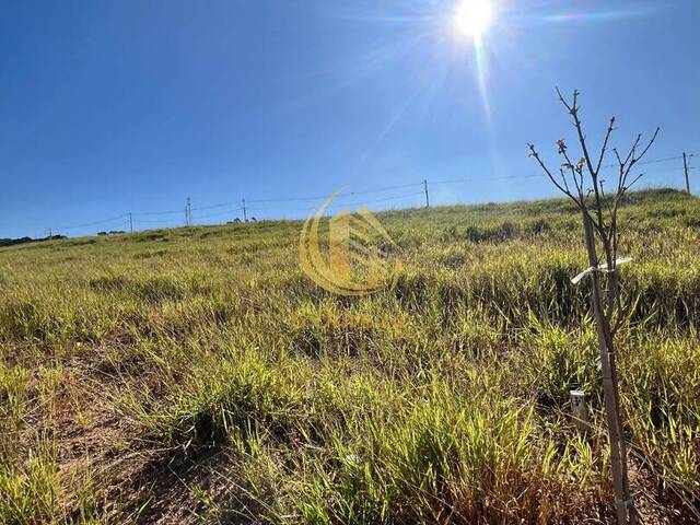 Terreno para Venda em Itupeva - 4