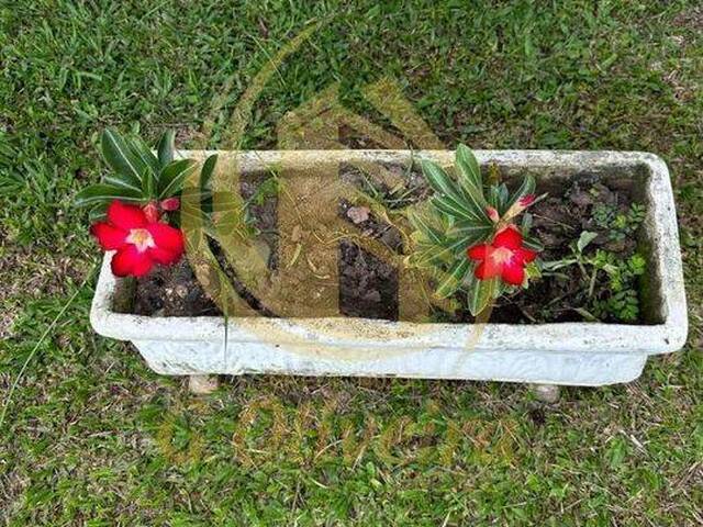 Chácara para Venda em Jundiaí - 4