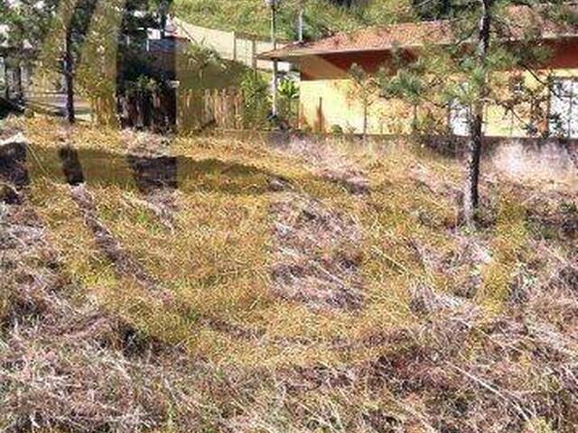 #TE00352 - Terreno para Venda em Jundiaí - SP - 3
