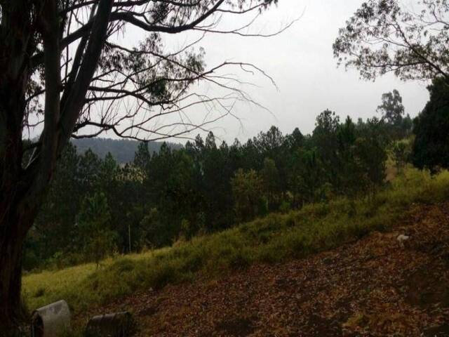 Área para Venda em Jundiaí - 5