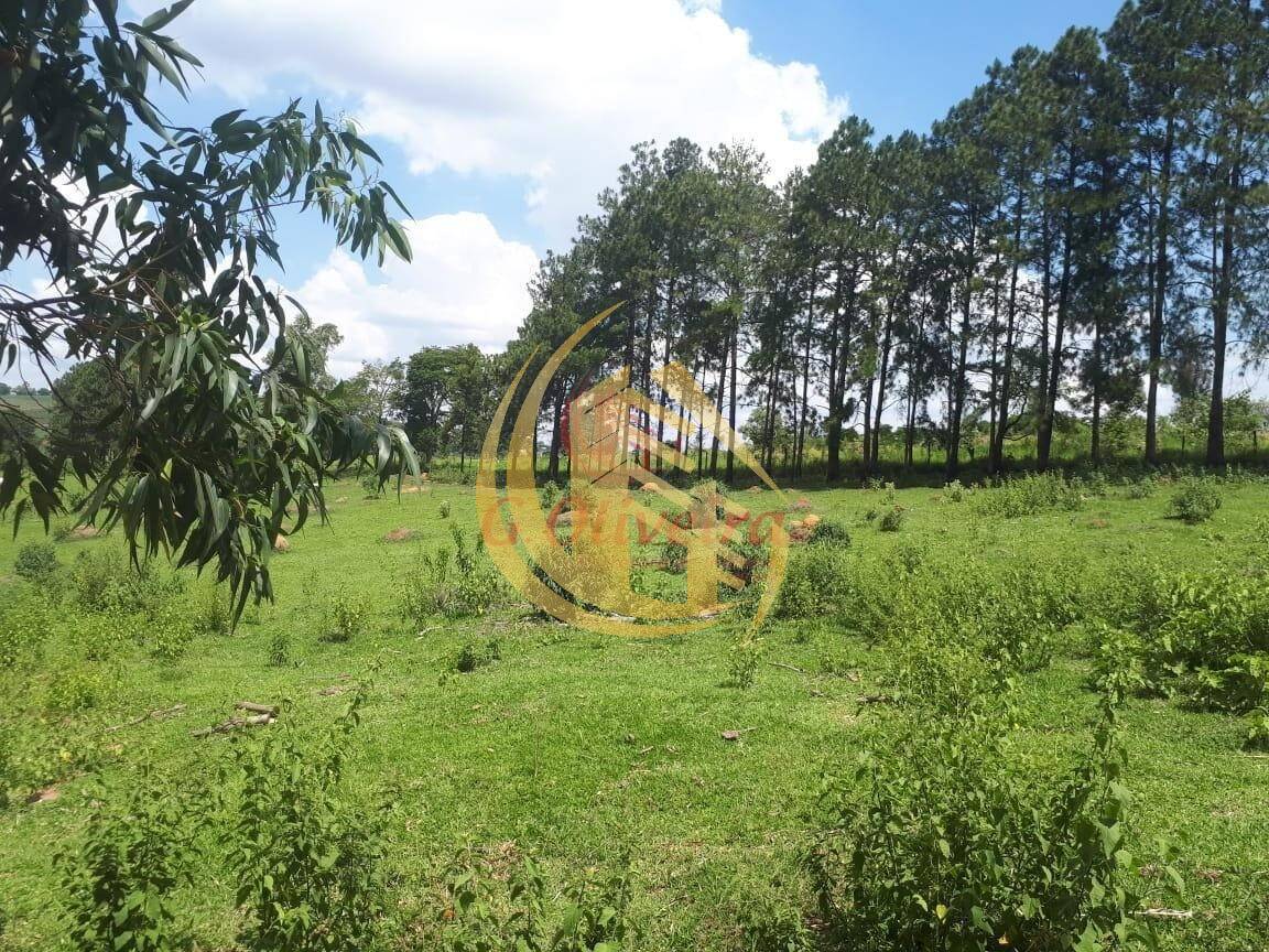 Terreno em Jardim Pellizari, Jundiaí - Foto 24