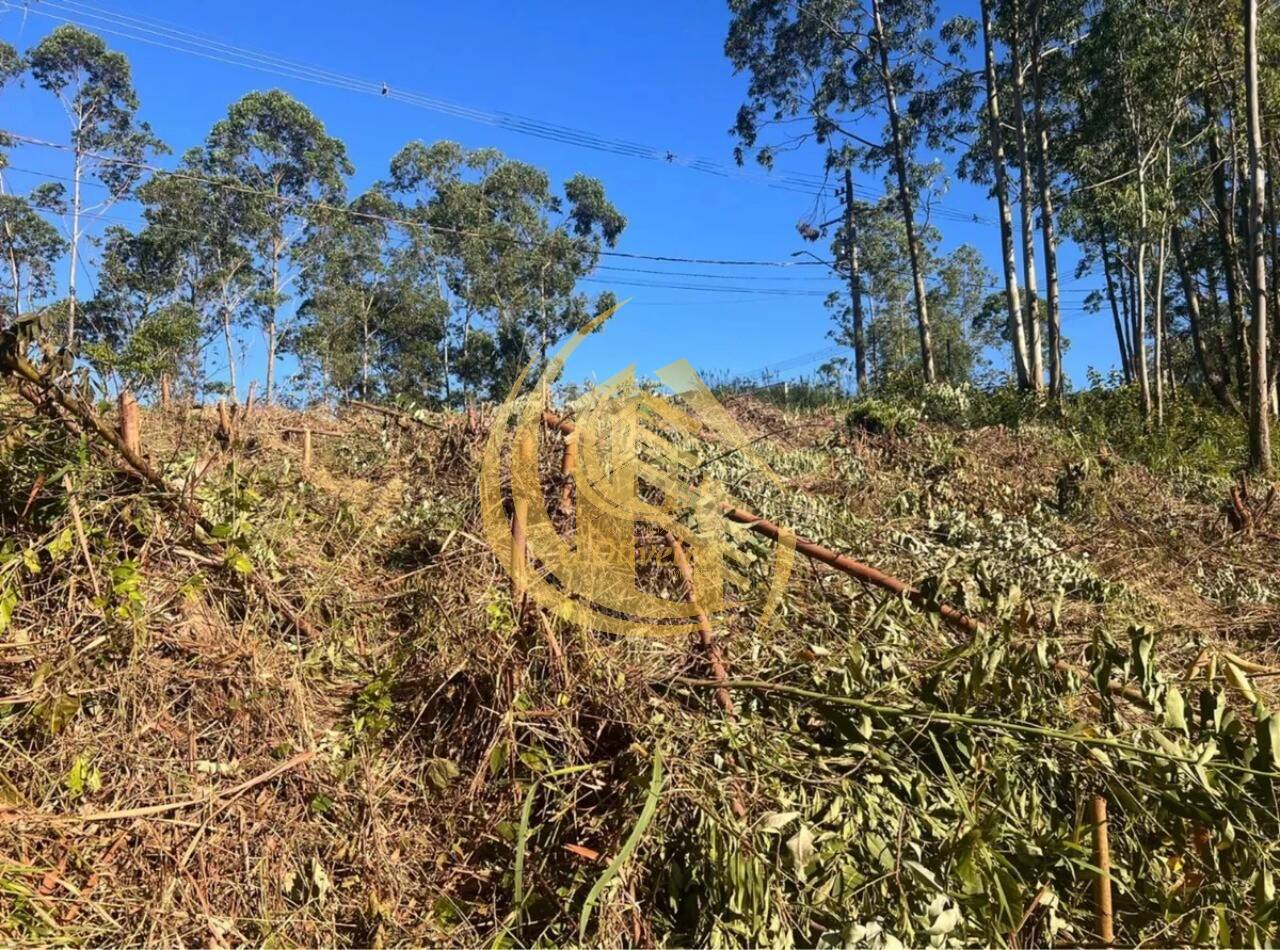 Terreno em Serra Dos Lagos (jordanésia), Cajamar - Foto 10