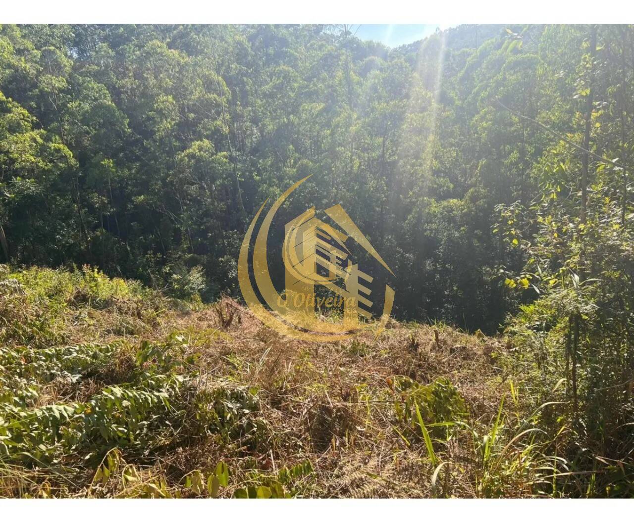 Terreno em Serra Dos Lagos (jordanésia), Cajamar - Foto 11