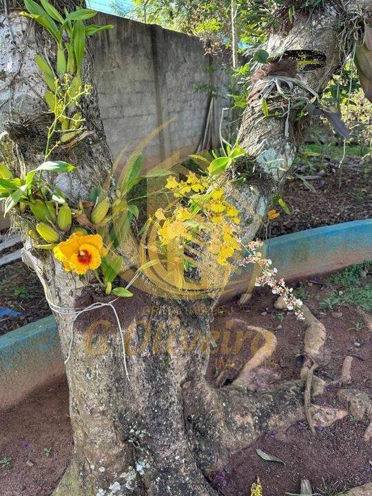 Chácara em Medeiros, Jundiaí - Foto 62