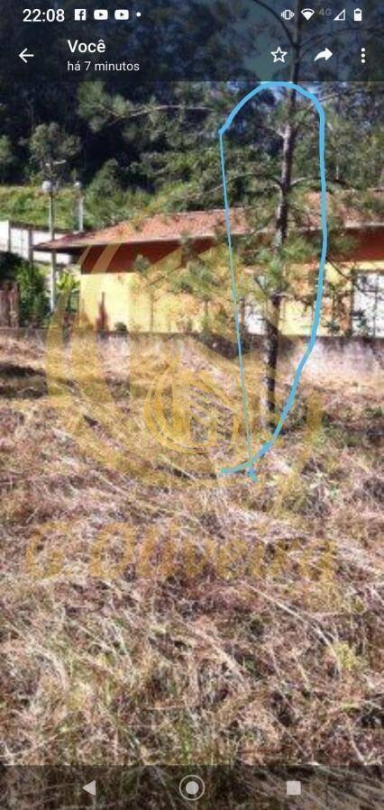 Terreno, 960 m² - Foto 7